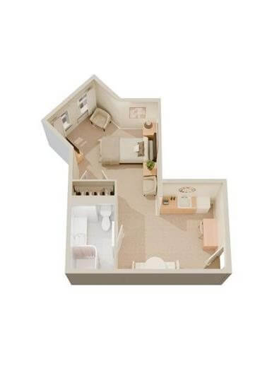 Large Studio Suite