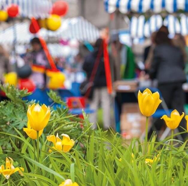 Summer Fayre - free event at Old Norse Lodge