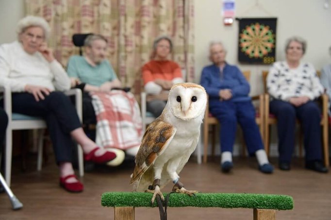 Lauder Lodge - owls-lauder-lodge4-1 image