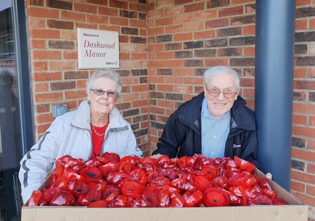 Dashwood Manor - Dashwood poppy display 