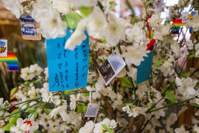 Knebworth - knebworth wishing tree