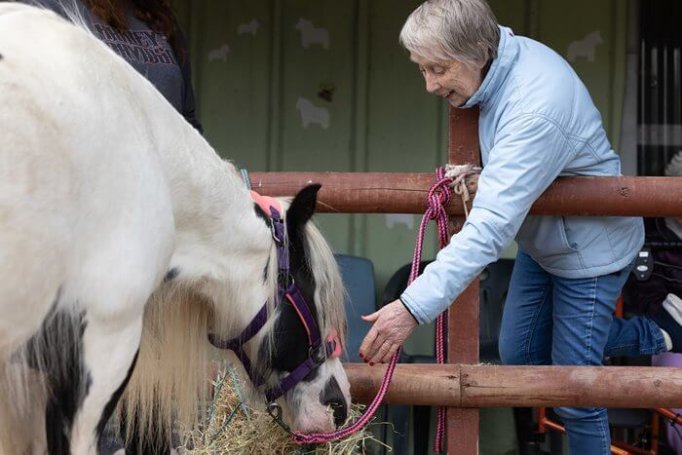 Deewater Grange - Deewater Grange pony wish