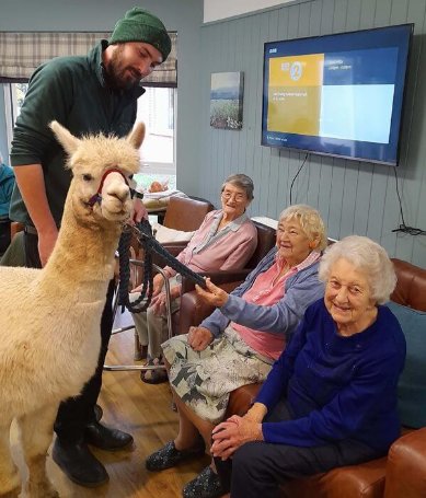 Hartismere Place - hartismere alpaca visit