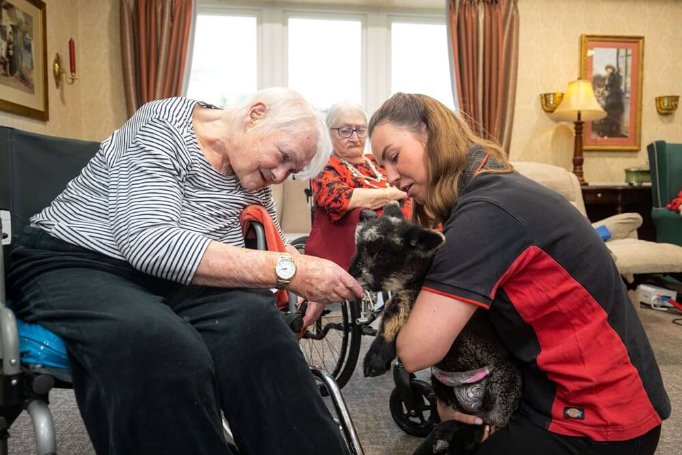 Blossomfield Grange - Blossomfield animal visit 