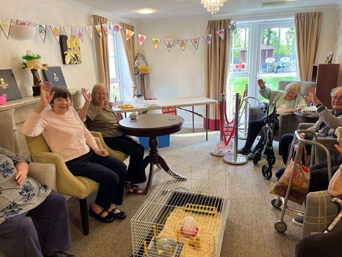 Kentford Manor - Kentford residents welcome chicks