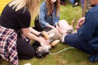 The team at Ambleside transformed the garden into 'Amblefest' for the residents to enjoy.
