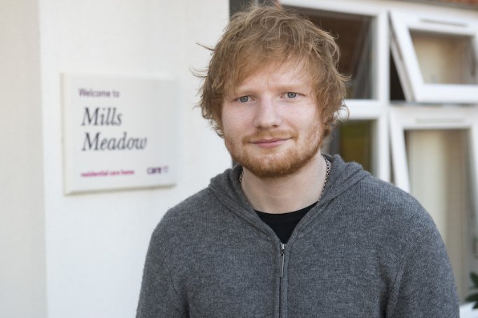 Mills Meadow - ed-sheeran-mills-meadow-gallery image