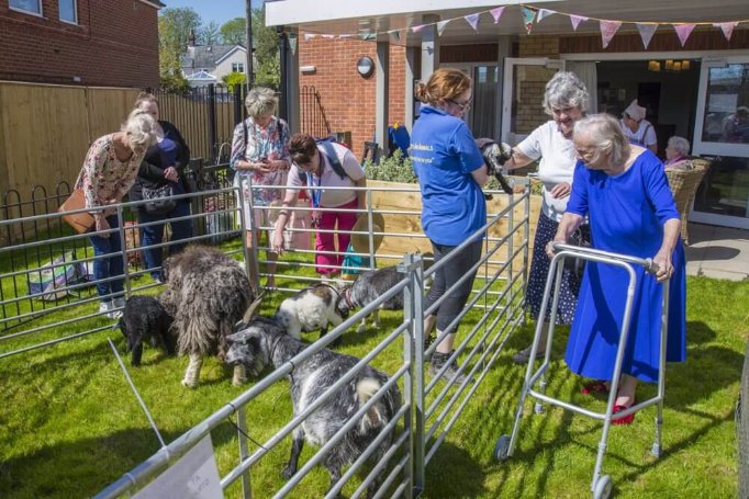 Pear Tree Court - millers-ark-farm-animals-uk-pear-tree-court-7 image