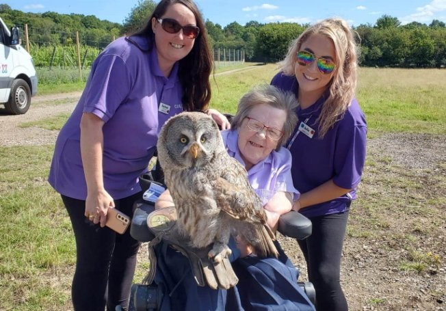 Mill View - Mill View Owl wish