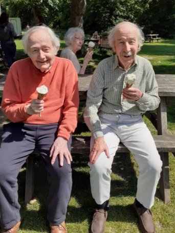 Glastonbury Court - Glastonbury ice creams