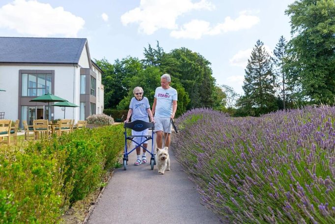 Liberham Lodge - Liberham Lodge garden