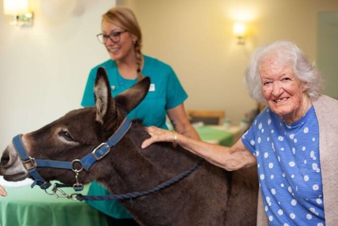 Winchcombe Place - Winchcombe donkey visit