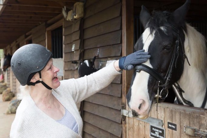 Ivy Grove - ivy grove horse riding wish