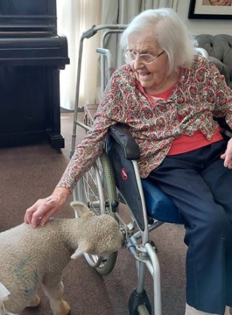 Edgbaston Manor - Edgbaston residents enjoying lambs