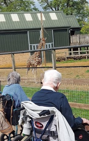 Catherine Court - catherine court zoo trip