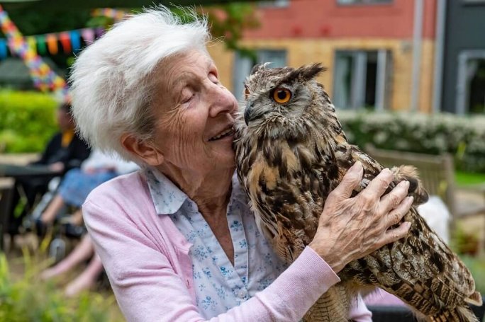 Care Assistant Bank - Rossetti birds 