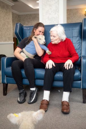 Blossomfield Grange - Blossomfield animal visit 